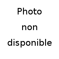 Cartouche encre Compatible HP C4844A Noire 
