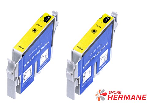 Lot de 2 cartouches  compatible Epson T0324 Jaune