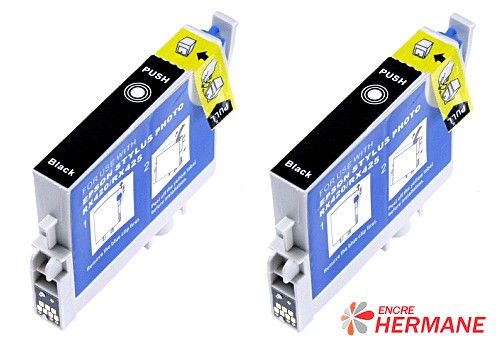 Lot de 2 cartouches compatible Epson T0551 Noire